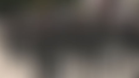 Avalan Congresos que Guardia Nacional pase a Sedena  