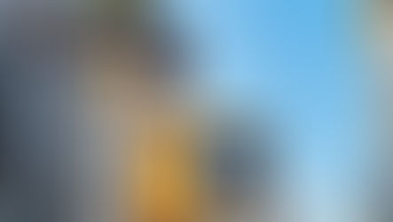 Novedades y actividades culturales en New York