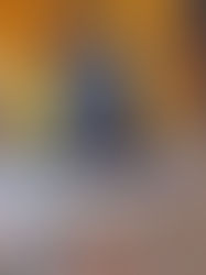 Con festival holístico reafirma Morelos liderazgo en sector wellness 