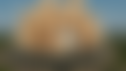 Estima ifahto mil mdp como derrama económica del Mundial   