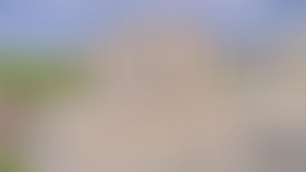 Disney llegó a Mérida con Fiesta Americana