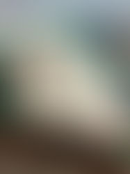 Tren Maya y hoteles presentan pérdidas por más 6 mil millones de pesos en 2025