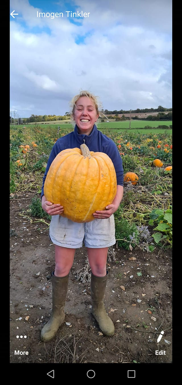 Pick Your Own Pumpkin - 9am-11am - 1 ticket per person