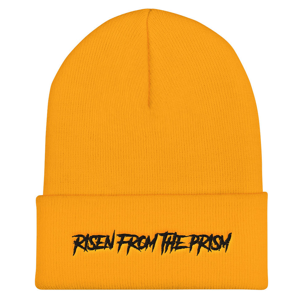 Thumbnail: Risen From The Prism Beanie