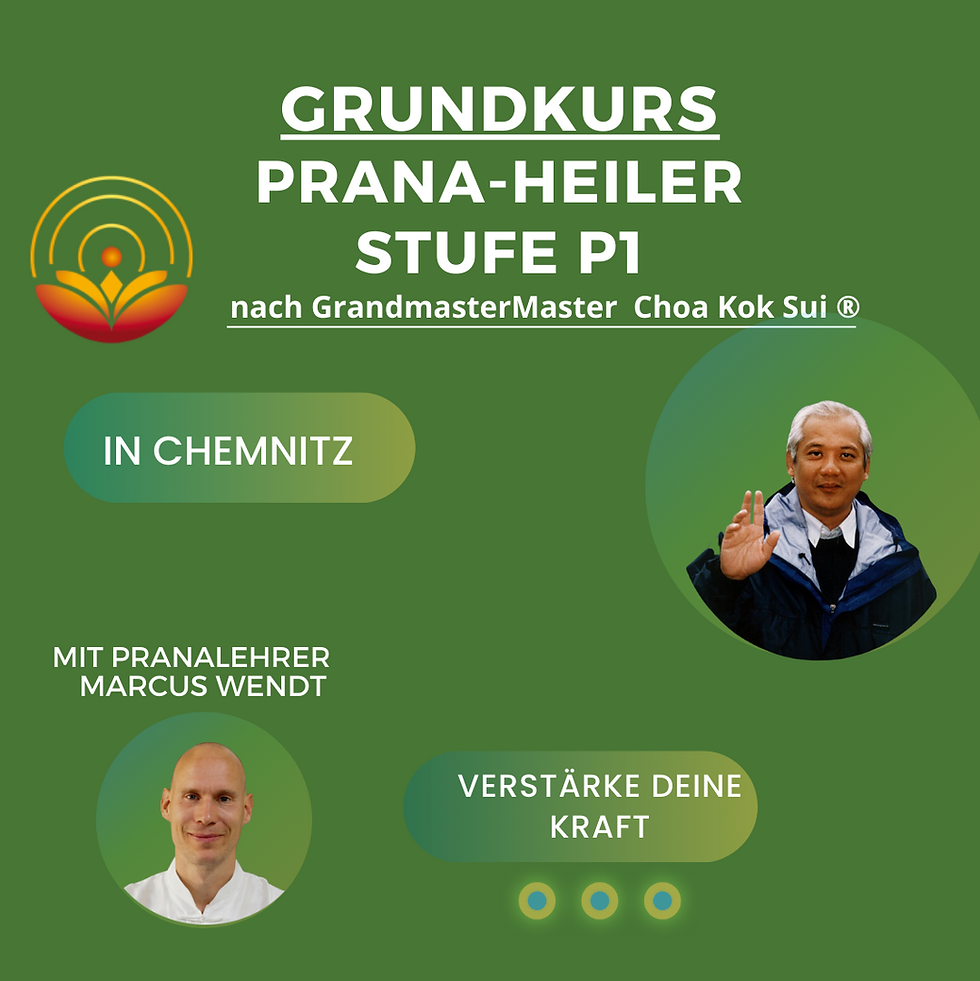 Grundkurs Prana-Anwender Stufe P1 Februar 2025