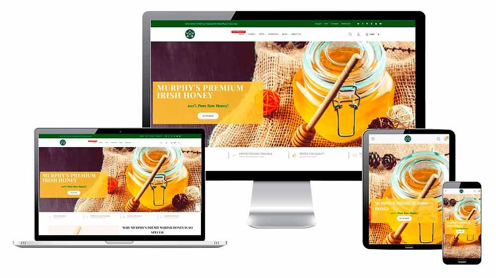 Web Design Services To Build A Strong Online Presence