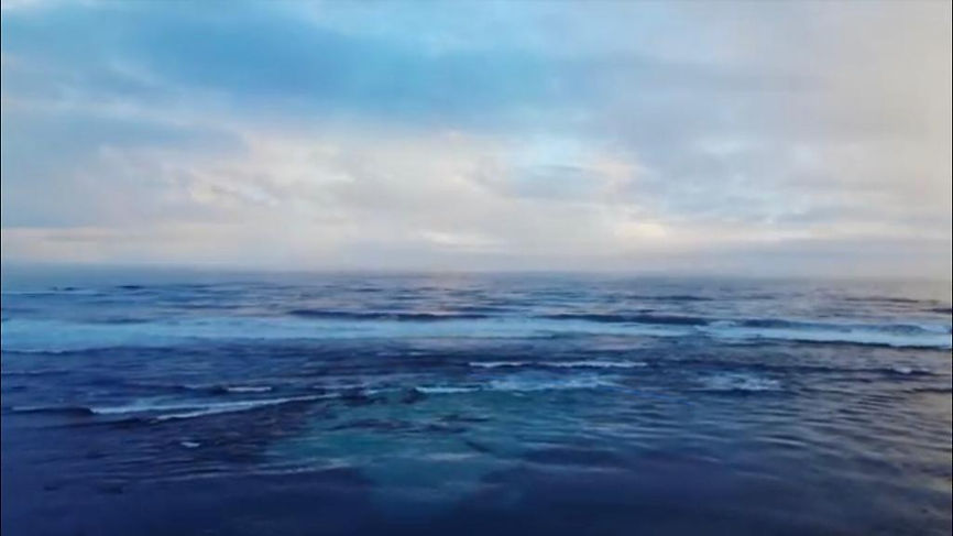 WhatsApp Image 2021-02-22 at 11.18.50(1).jpeg