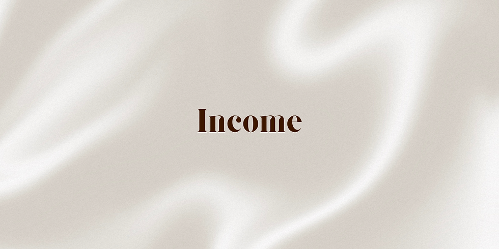 The word "Income" is centered on a light, flowing fabric background, creating a smooth, elegant feel. Text is bold and dark brown.