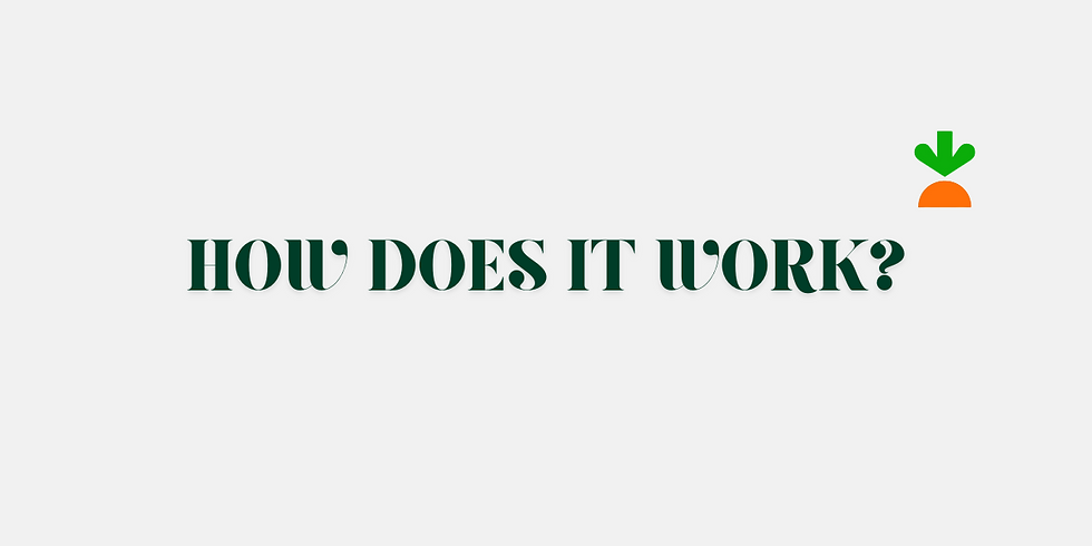 Text "HOW DOES IT WORK?" in green on white background, with a green and orange carrot icon above it, creating a curious, inviting mood.