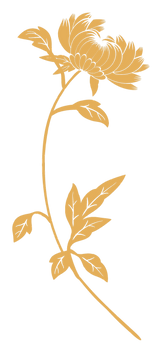 1502462_edited_edited_edited_edited_edited_edited_edited.png