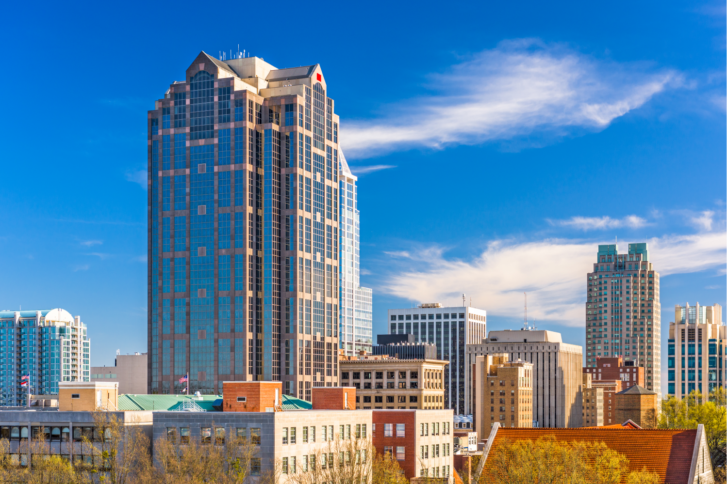 Raleigh.webp