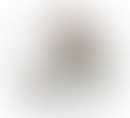 Sociedade Entomologica Caratinga - SECA