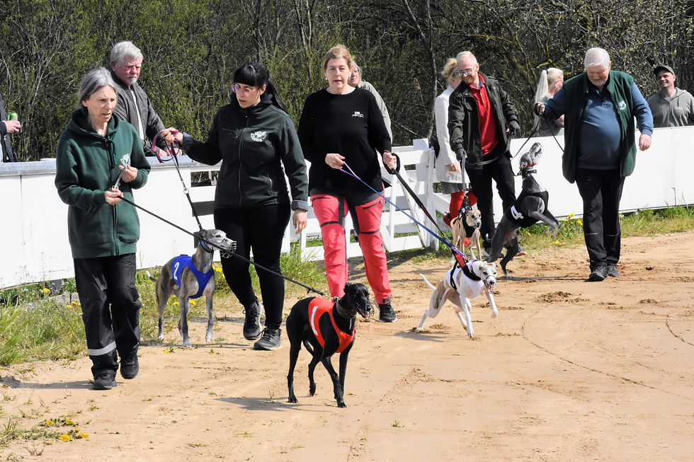 På väg till start i årets första lopp – med Inga-Lill/Ad Astra i spetsen.