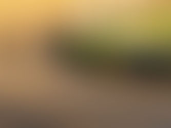 Dubbelseger för Joe Black–kullen