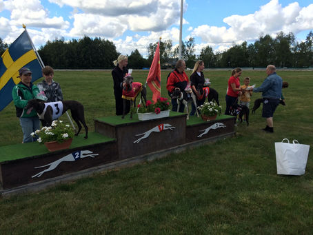 Hektisk helg och ny seger för Divo