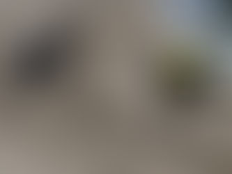 Femte finalen för Rarity!!