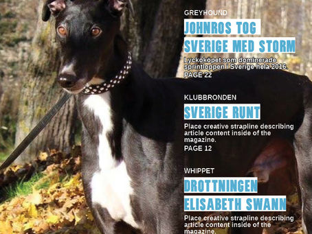 Dags att beställa tidningen!