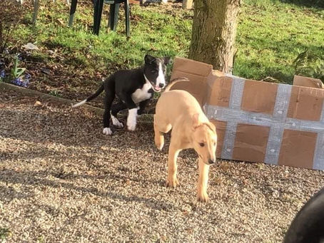 Första dagen i full (nåja) frihet