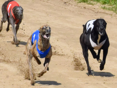 Säsongsstart med tre på pallen