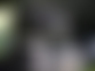 Valpar i närbild – och comeback på Kallerup