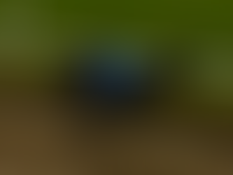 En tur till Landskrona