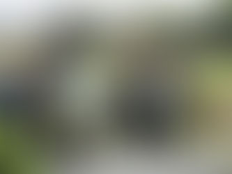 Drömmen slog in: Succé i danska Puppy Derby