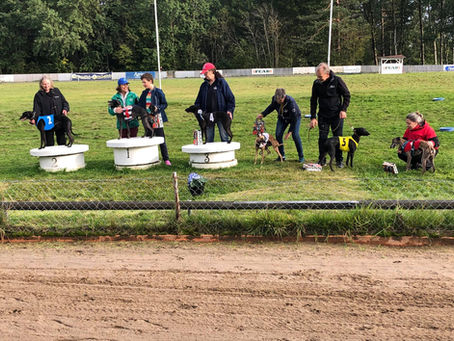 Sextonde elittiden för Clara