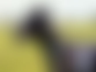 FIFA-kullen: Ny seger och en ny tävlingslicens