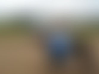 15 segern för Sally och lite annat