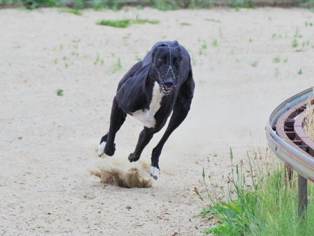 Två sololicenser fixade