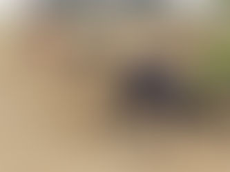 Kung Louies första seger i Danmark