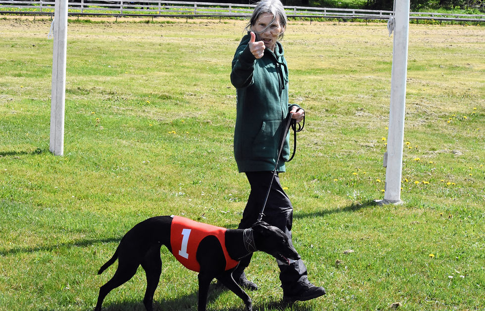 Inga–Lill och Tingeling (Ad Astra) har rätt mycket vinnarskalle båda två....