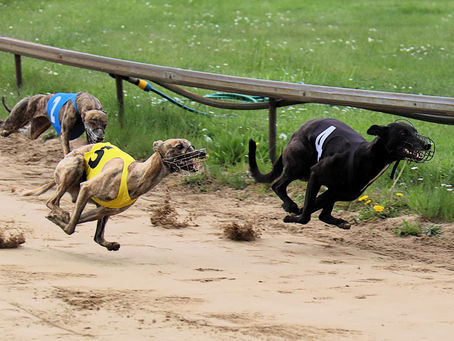 Tvåa och trea i Copenhagen Cup