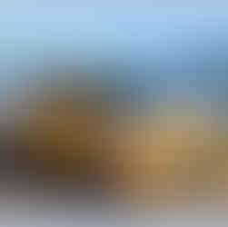 Image of 2016 Kia Picanto