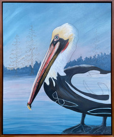 Brown pelican bird posted on a wood log at sunrise along the water with a tree line background