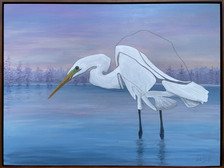 Great white egret bird in the water poised to dive for food in the lake at sunrise with a tree line background