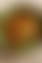 🥗 Keptos duonos salotos su traškiais avinžirniais ir halloumi sūriu