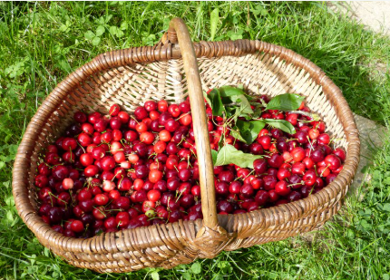 Capture d’écran 2025-12-02 124509.png