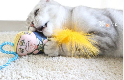 Miniatura: Juguete Trump Catnip (Producto Importado)