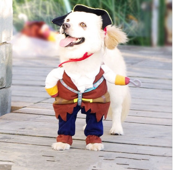 Miniatura: Disfraz de Pirata Perro o Gato (Producto Importado)