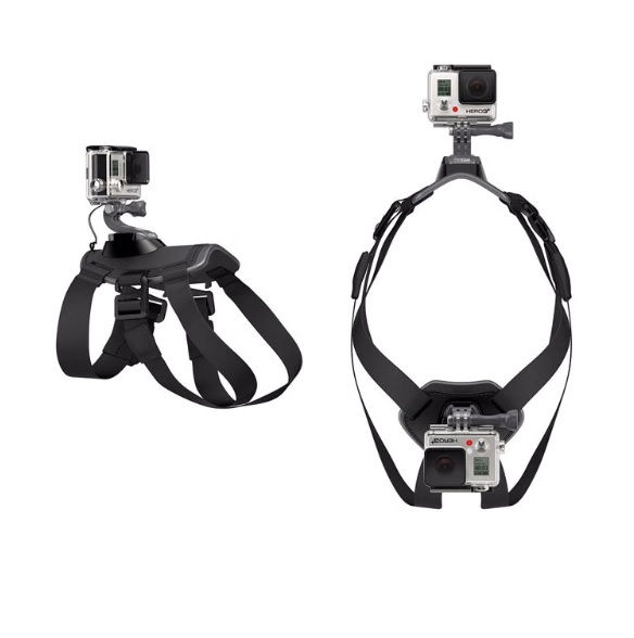 Miniatura: Pechera Para Perro Accesorio Gopro (Producto Nacional)