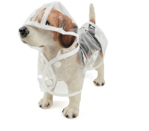 Miniatura: Impermeable Transparente (Producto Importado)