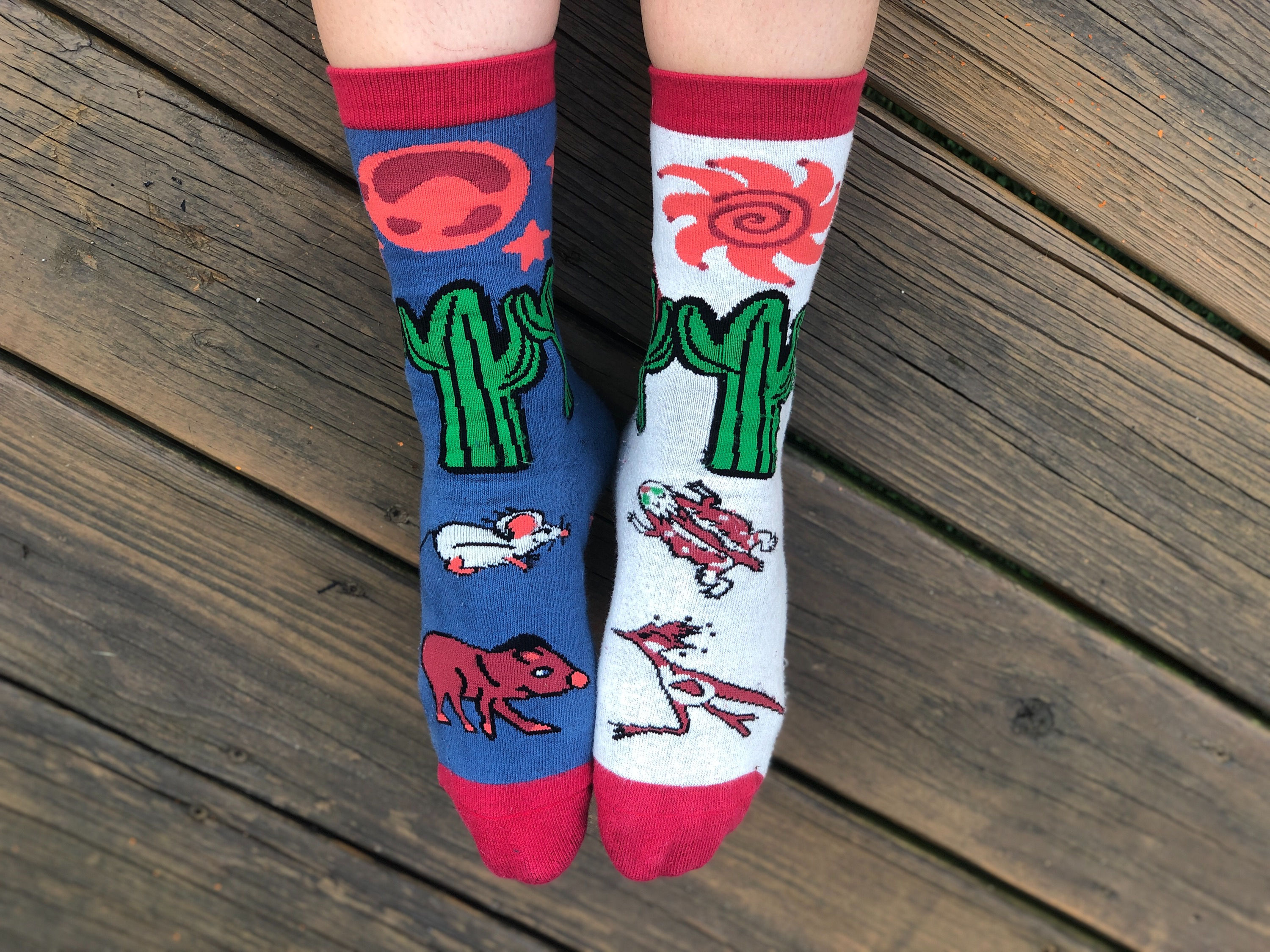 Javelina Nights Socks 🌵