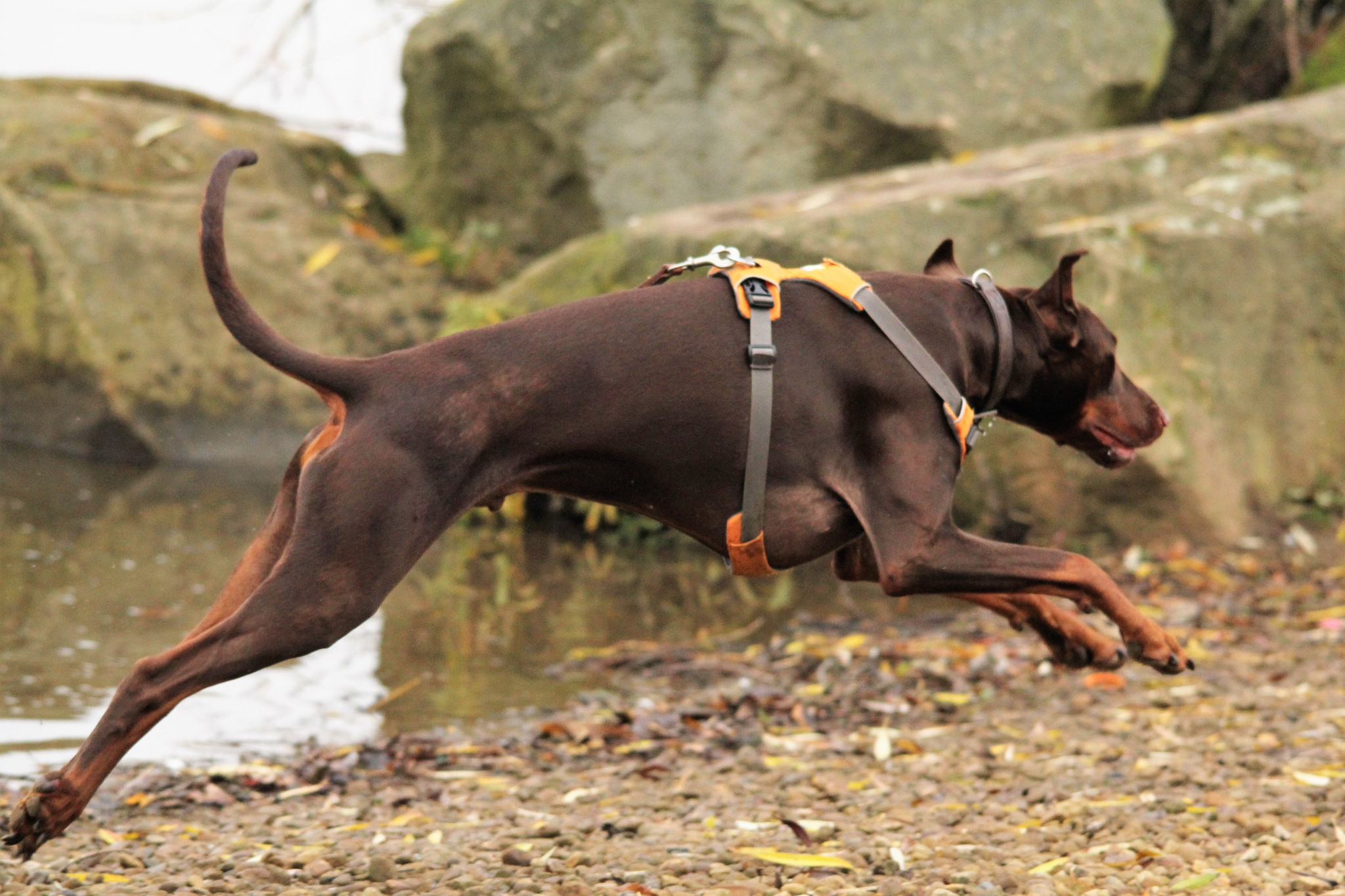 AXLE 3