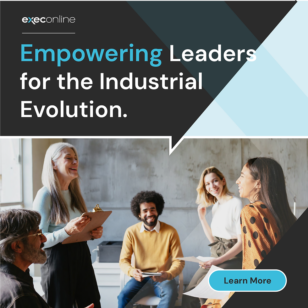 ExecOnline new ads design option 1 a with button.png