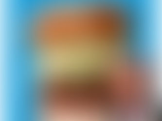 Katsu Burger Allergen Guide