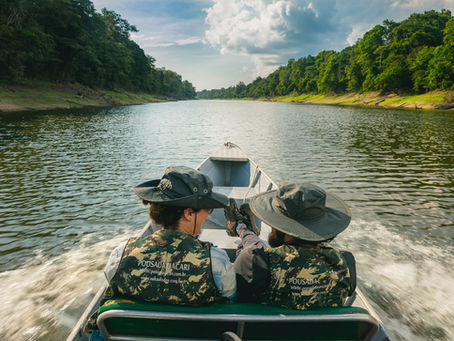 🇧🇷 4 destinos de ecoturismo de base comunitária na Amazônia