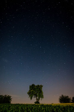 TZ_Zlatar_Nocne-17