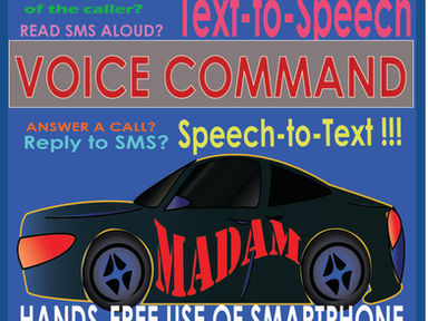 MADAM system description