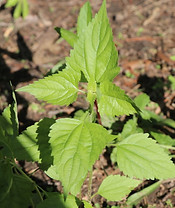 photo2.jpg